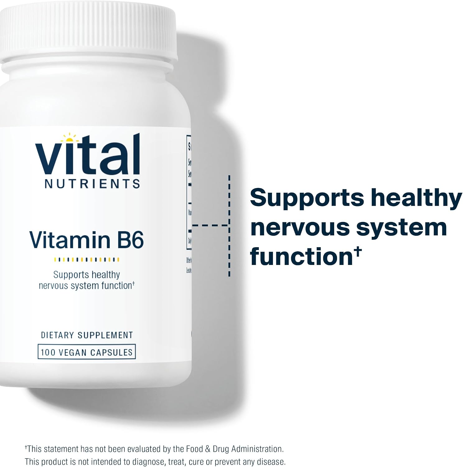 Vital Nutrients Vitamina B6 - 100mg Piridoxina HCl - Vegano - 100 Cápsulas