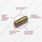 Purity Products MyBerberine ProClinical – Berberina con 9,6 veces más biodisponibilidad – 60 cápsulas vegetarianas