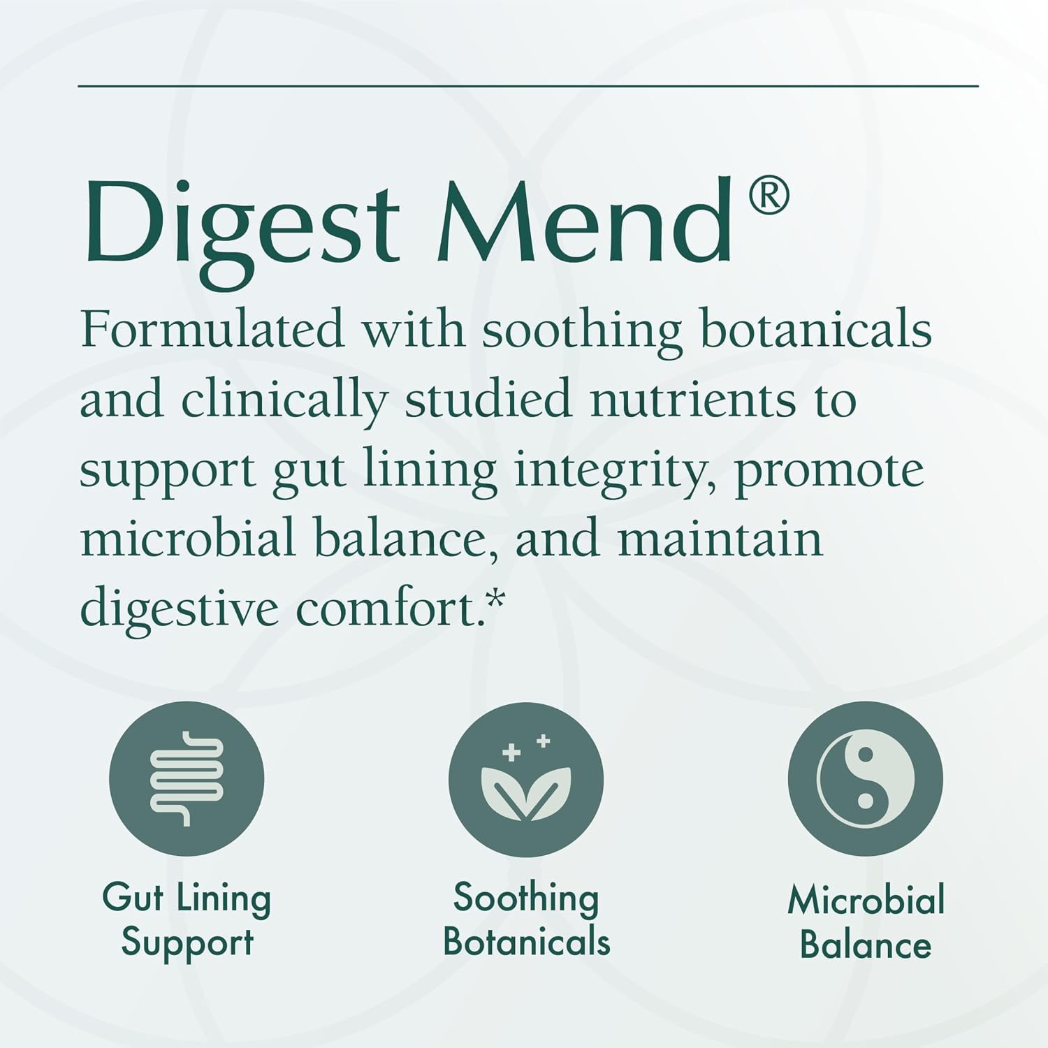 Nat Health Products Digest Mend - Apoyo Digestivo con DGL, Aloe Vera, Malvavisco y Manzanilla (180 Cápsulas)