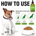 Golden Paw Antibióticos Naturales para Perros y Gatos – Gotas Orales – 2 oz (59 ml)