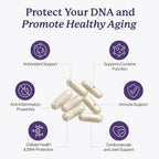 Ultra Cell Biotect - Antioxidant Support with Organic Turmeric, Black Ginger, Green Tea, Black Pepper, and Grape Seed - 120 Capsules