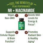 Peak Performance Nicotinamida Ribósido NR Cápsulas - Alternativa NMN con Niacinamida para Niveles de NAD+