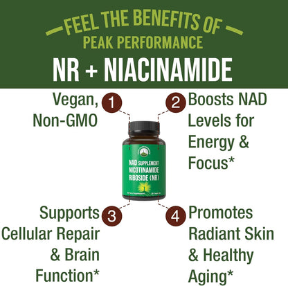 Peak Performance Nicotinamida Ribósido NR Cápsulas - Alternativa NMN con Niacinamida para Niveles de NAD+ – Image 2