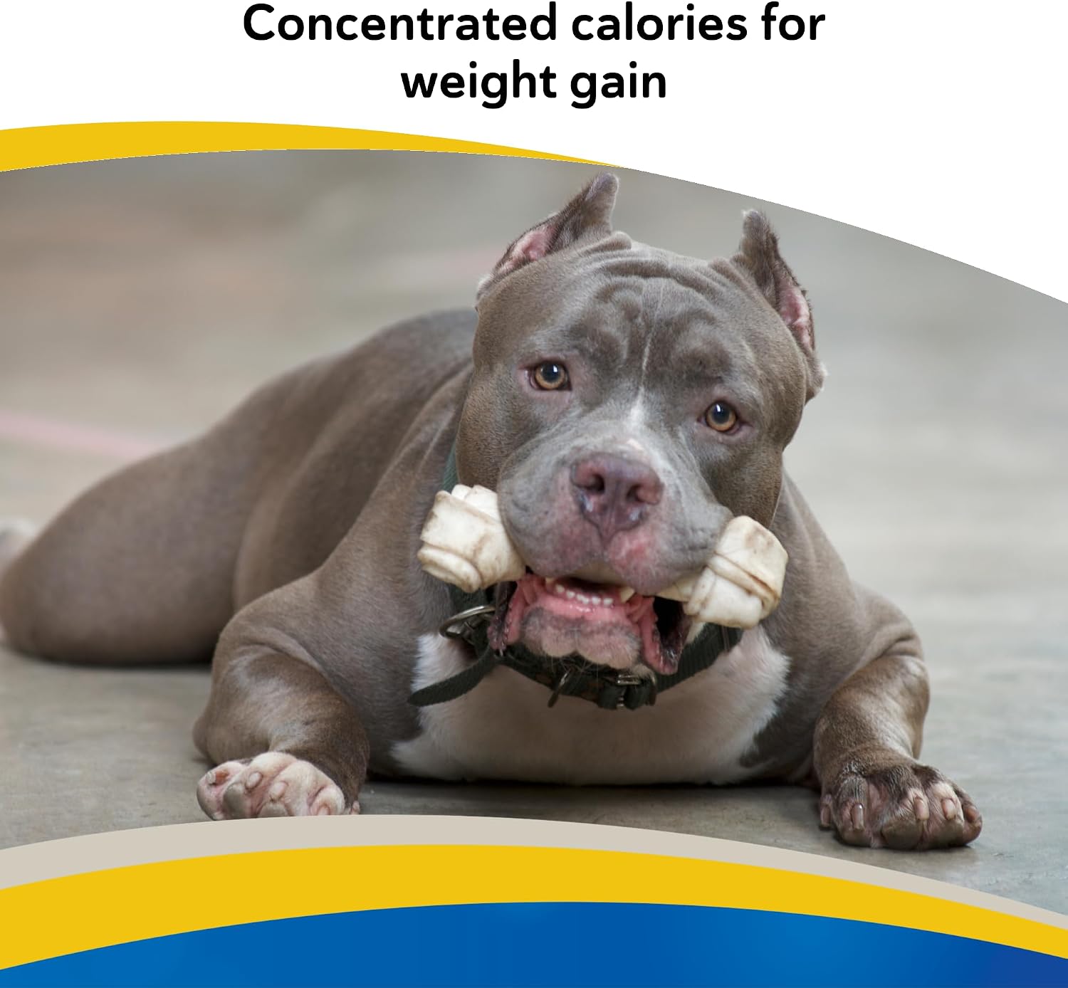 Forti Cal Soft Chews - Suplemento energético de alto contenido calórico para perros y gatos, 120 unidades
