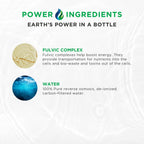 Complete Canine Electrolytes | Electrolitos completos para perros | 355 ml