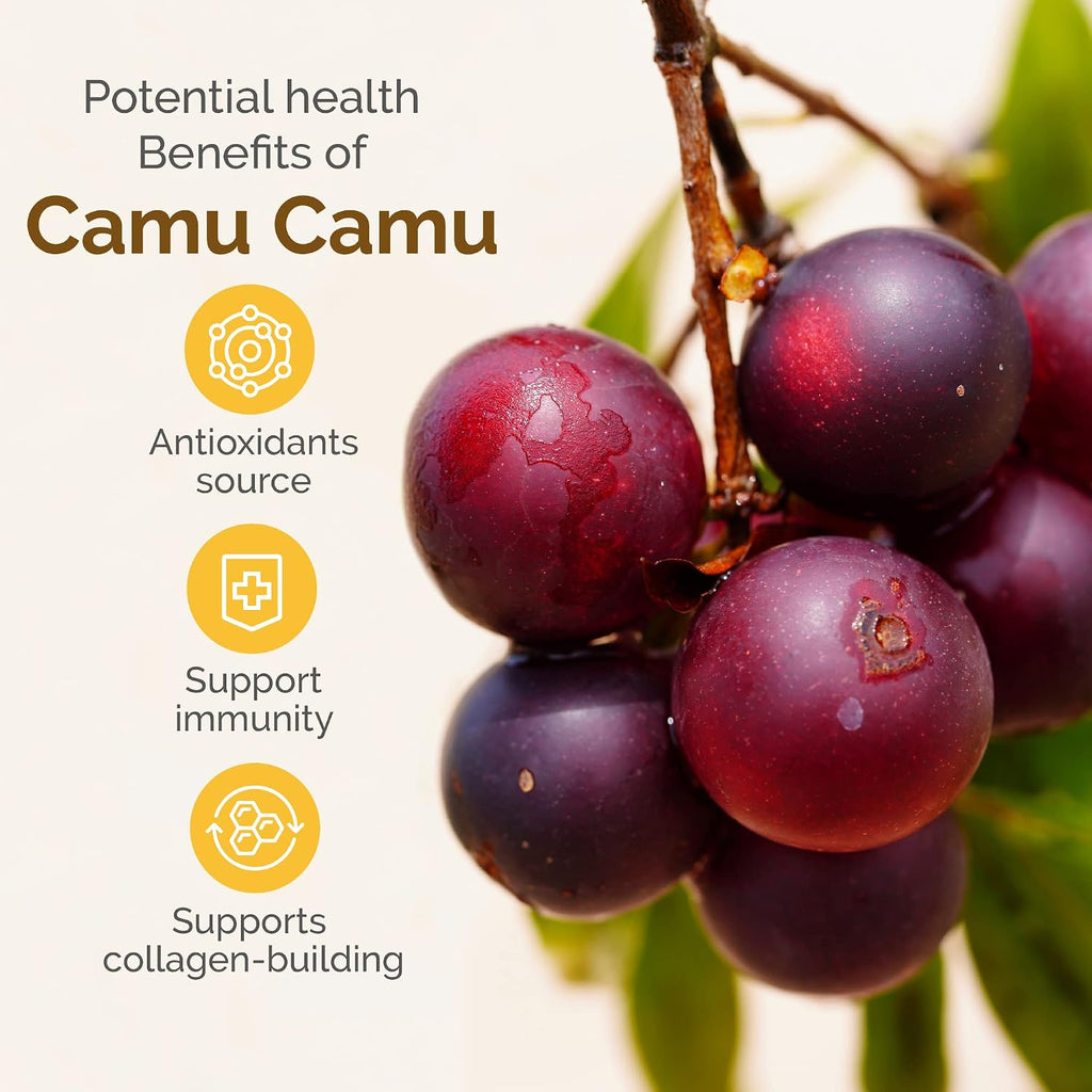 Camu Camu en Polvo: Fuente Natural de Vitamina C Orgánica - Zint (100 g)