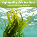 HEALOADING Cápsulas de Musgo Marino Silvestre y Vejiga de Mar - 350mg - Vegano, No OGM