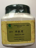 Ban Zhi Lian - Barbed Skullcap, 100 gramos