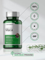 Horbäach Cápsulas de Raíz de Maca para Hombres y Mujeres | 120 Cápsulas | Extracto de Alta Potencia | Fórmula No GMO y Sin Gluten