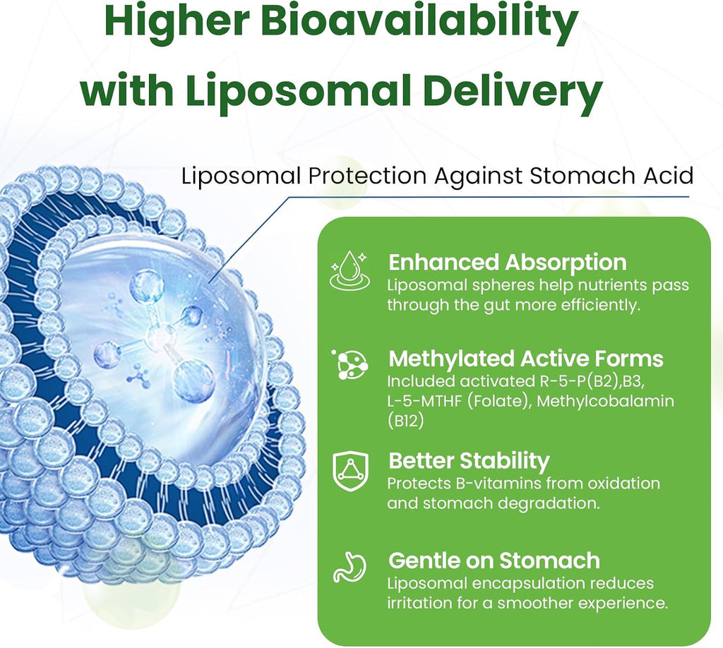 Liposomal B Complex for High Absorption Methylated B12, L-Methylfolate (5-MTHF), Full Active B Vitamins with Choline Inositol - Energy, Metabolism, Brain & Heart Support, Vegan, Non-GMO, 3 Month Supply