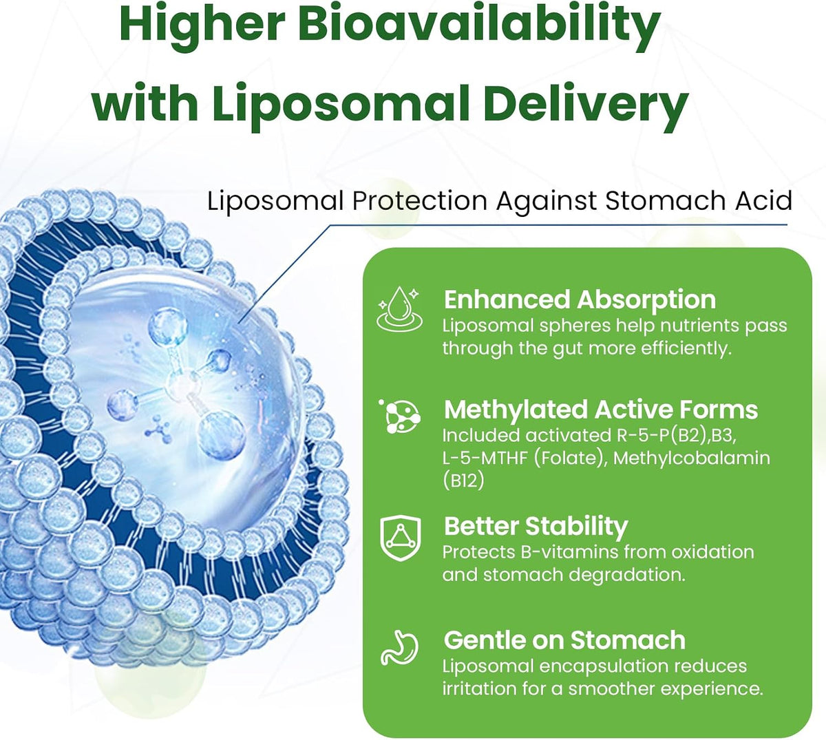 Liposomal B Complex for High Absorption Methylated B12, L-Methylfolate (5-MTHF), Full Active B Vitamins with Choline Inositol - Energy, Metabolism, Brain & Heart Support, Vegan, Non-GMO, 3 Month Supply - görsel 2