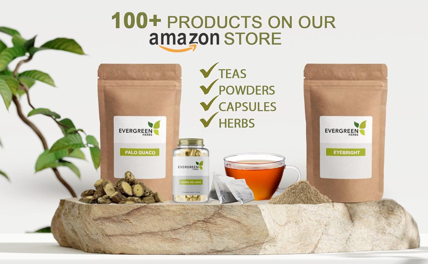 Evergreen Herbs Cinchona en Polvo (227 g) - Bolsa Resellable