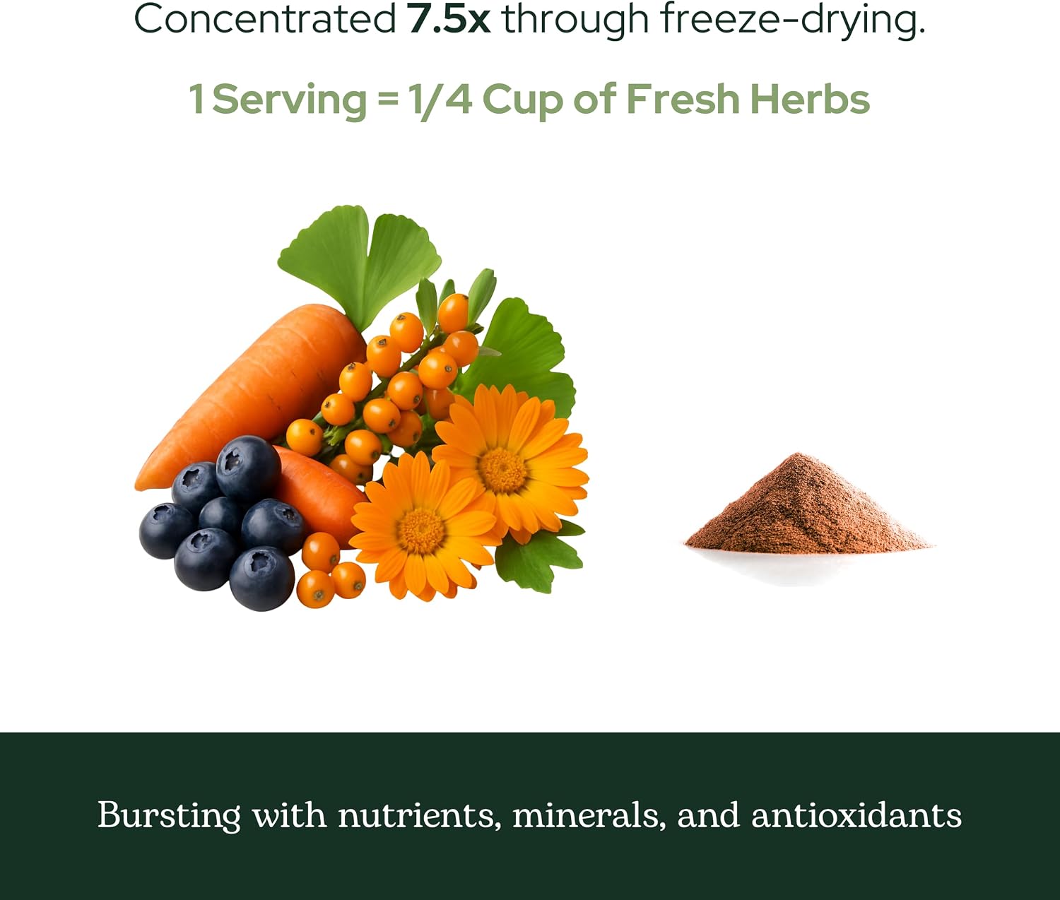 Eclectic Herb - Organic Eye Food Powder | Apoyo Visual, Suplemento Superfood de Vitaminas y Minerales | Bilberry + Ginkgo | Vegano, No-GMO (138 g)