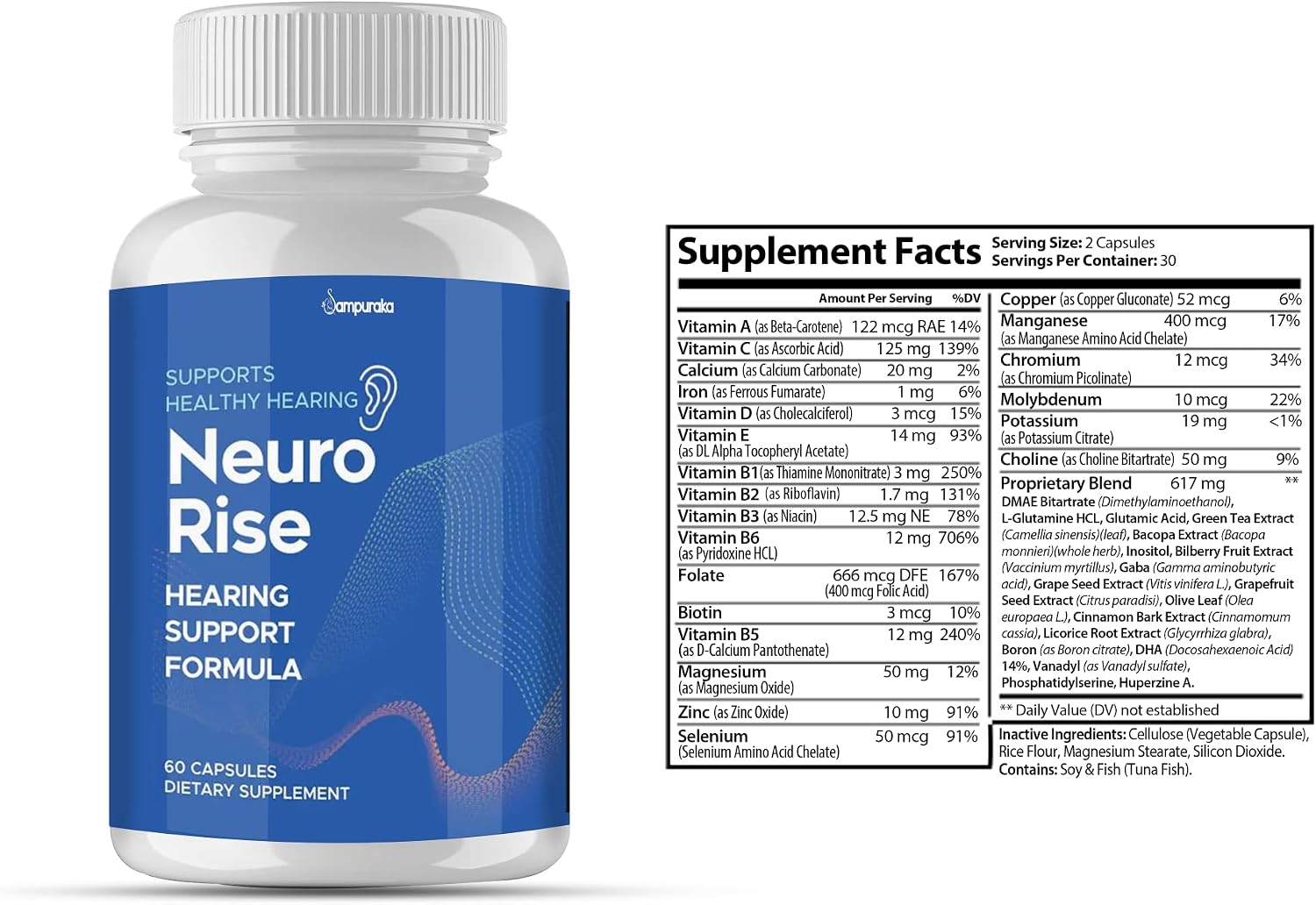Neuro Rise Advance New Formula - 3 Pack 90 Días