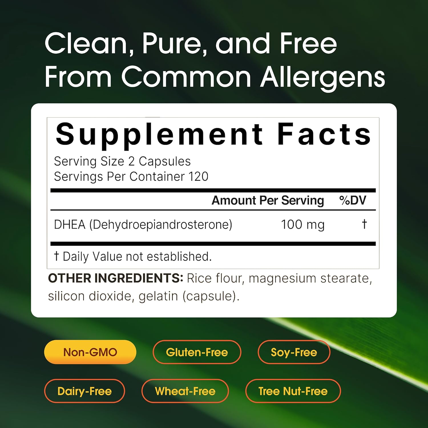 NatureBell DHEA 100mg - 240 Cápsulas