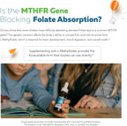 L-Metilfolato Orgánico para Niños + Metil B12 - Forma Sublingual - 5-MTHF - Sabor a Bayas Orgánico - 30 ml