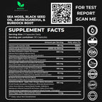 Mishas Nutraceuticals Sea Moss Blend 15 en 1 - Cápsulas de Musgo Marino y Hierbas