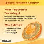 oppuland Vitamina D3 + K2 5000 UI - Tecnología Liposomal para Mayor Absorción - MK-7 Vitamina K2 100mcg - Ayuda al Metabolismo Óseo y del Calcio - 90 Cápsulas Blandas