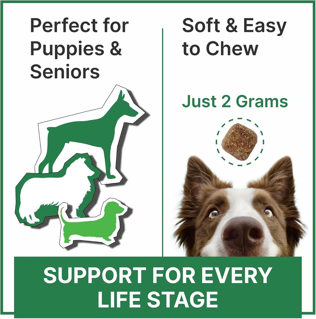Pawsential Multivitamínico para Perros - Complejo 4 en 1 con Omega, Glucosamina, Probióticos y Vitaminas - 100 Comprimidos - Sabor a Pescado