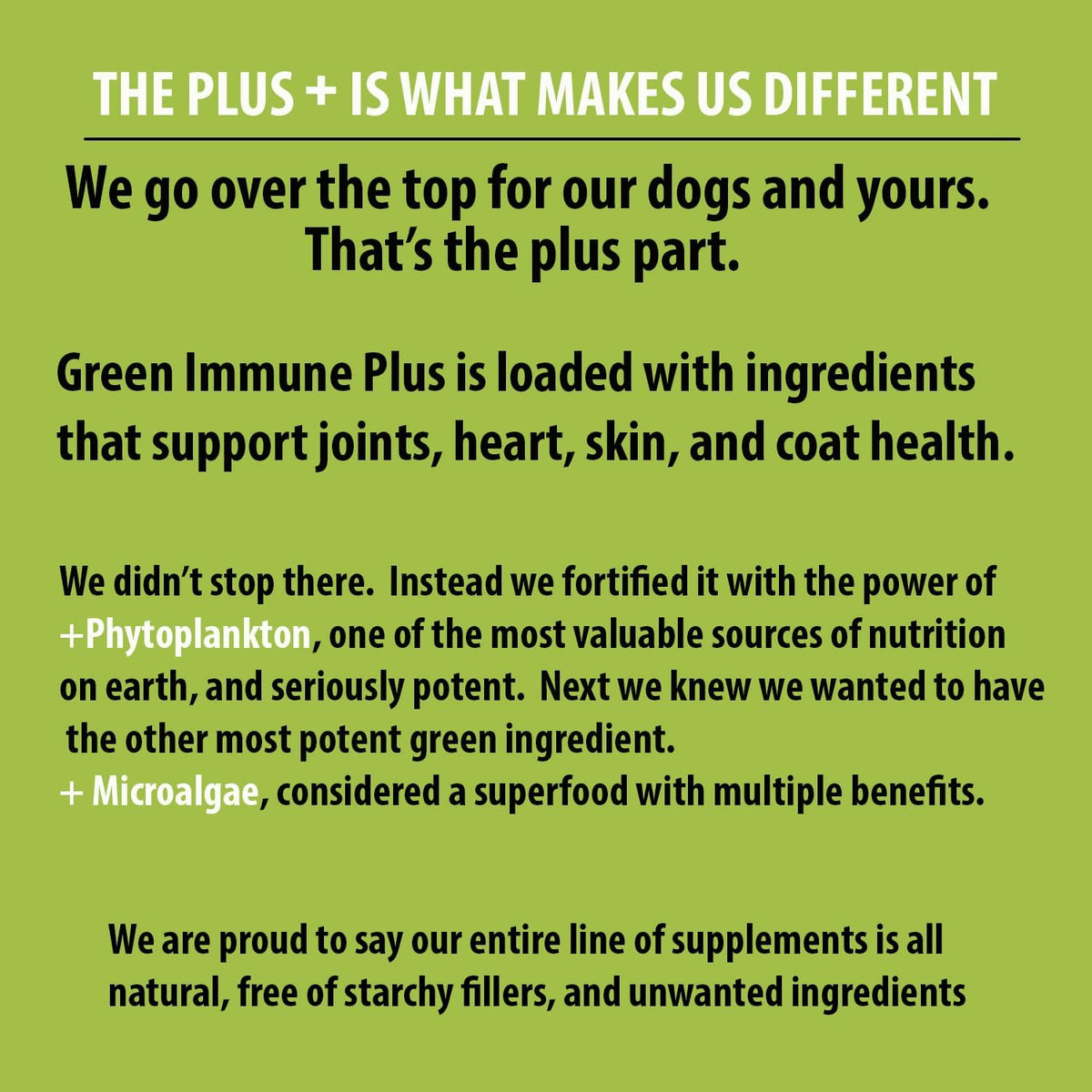 King Kanine Green Inmune Plus Multivitamínico y Mineral Orgánico para Perros, 170 g – Image 6