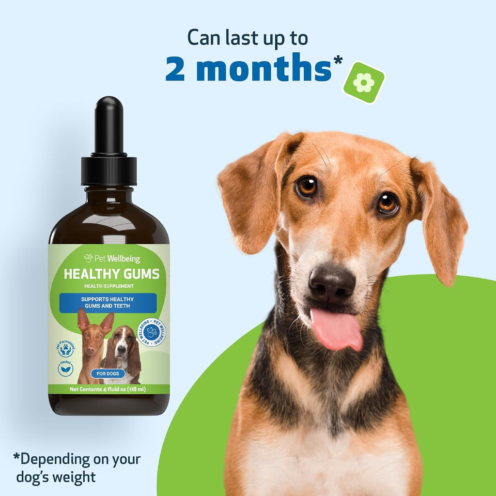Pet Wellbeing Healthy Gums para Perros - Gotas Tópicas para Cuidado Bucal, Salud Dental y Aliento Fresco - Certificado NASC y Formulado por Veterinarios - Líquido de 118 ml