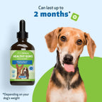 Pet Wellbeing Healthy Gums para Perros - Gotas Tópicas para Cuidado Bucal, Salud Dental y Aliento Fresco - Certificado NASC y Formulado por Veterinarios - Líquido de 118 ml