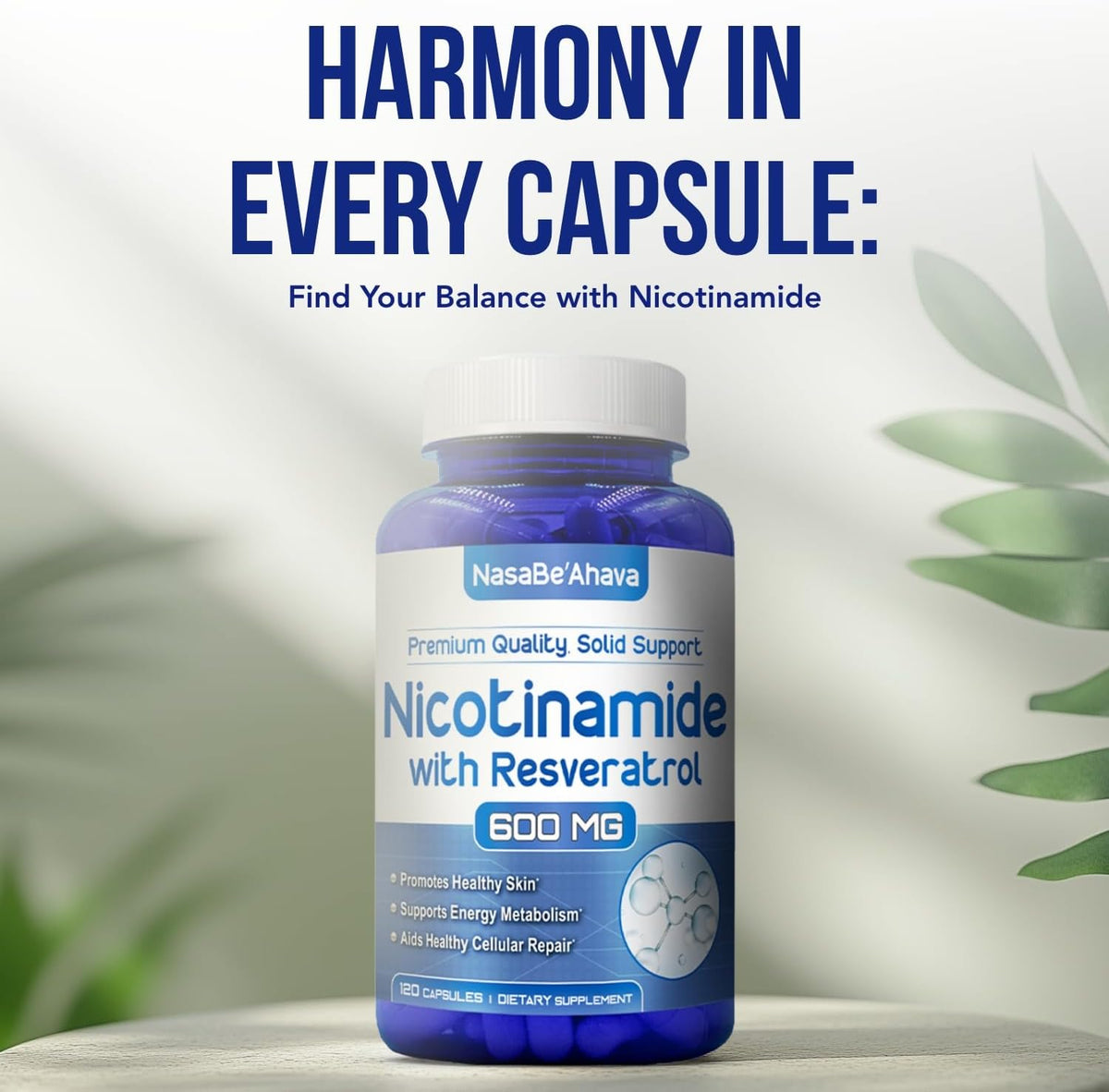 NasaBeahava Nicotinamida 500 mg con – Contribuye al funcionamiento normal del sistema nervioso. – Image 7