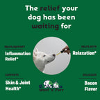 Aceite de Cáñamo para Perros y Gatos - Alivio Natural para la Ansiedad y el Estrés - 30 ml