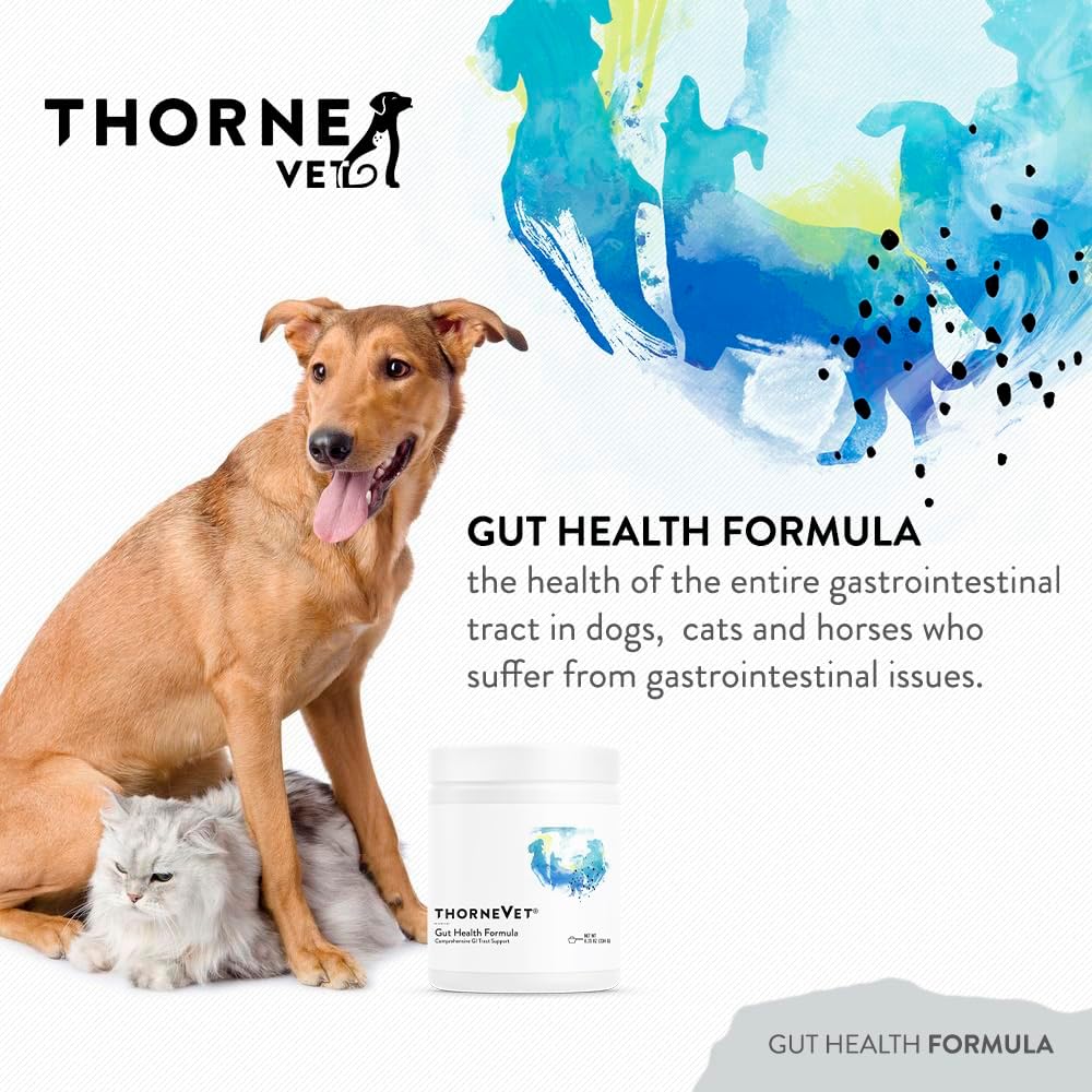 ThorneVET Gut Health Formula – Soporte Gastrointestinal para Perros, Gatos y Caballos, 180 Dosis