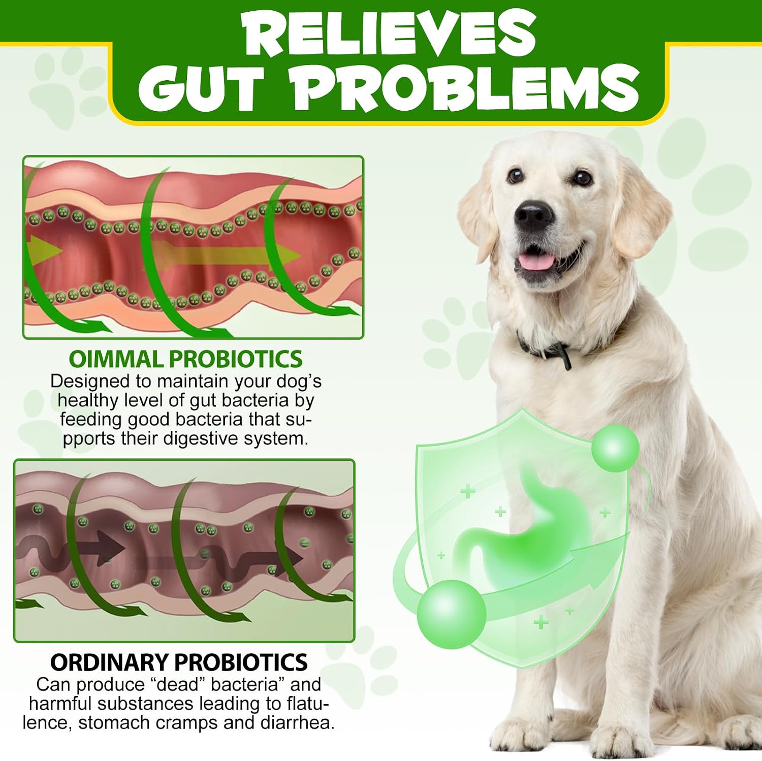 Probióticos en Polvo para Perros - Suplemento Digestivo con Prebióticos y Enzimas - 120 Dosis