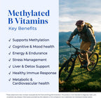 Methyl B Complex Gotas Líquidas - Complejo B Liposomal con B12 Metilada, Folato, B6, TMG y Cardo Mariano
