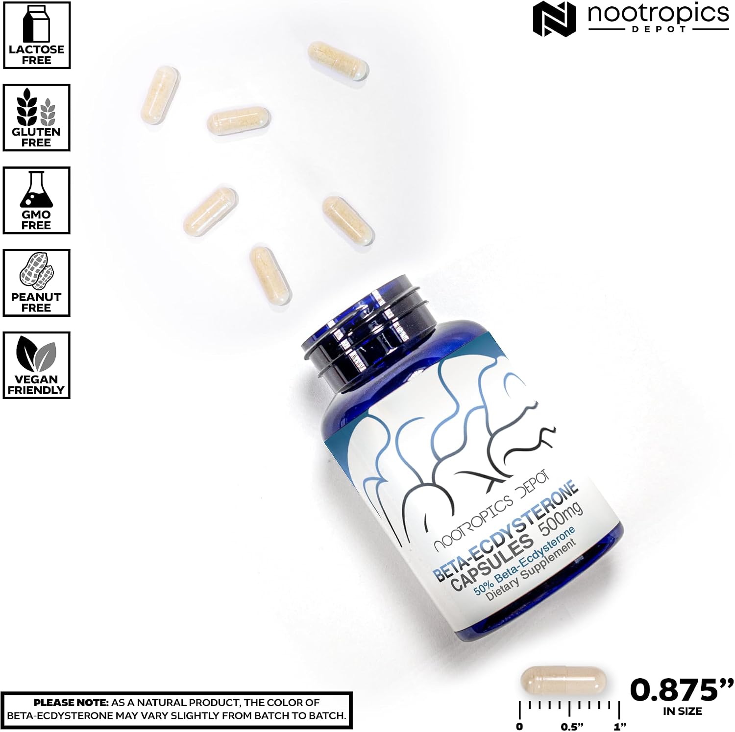 Beta-Ecdysterone 50% Cápsulas | 500 mg | Extracto de Cyanotis Arachnoidea | 30 Unidades