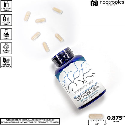 Nootropics Depot Beta Ecdysterone 50% - 500mg - 90 Cápsulas – Image 6