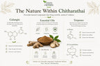 Chitharathai en polvo (Alpinia Officinarum) - Galangal Menor - 100% Puro - YOGIS HERBS