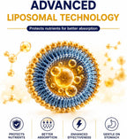 Cellqueue Vitamina C Liposomal Líquida 500 mg - Alta Absorción, Apoyo Inmunológico, Producción de Colágeno, Antioxidante, Suave para el Estómago, 50 ml