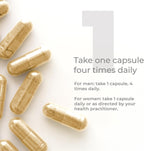 Premier DHEA 25mg - Pure DHEA Supplement - 60 Vegetarian Capsules
