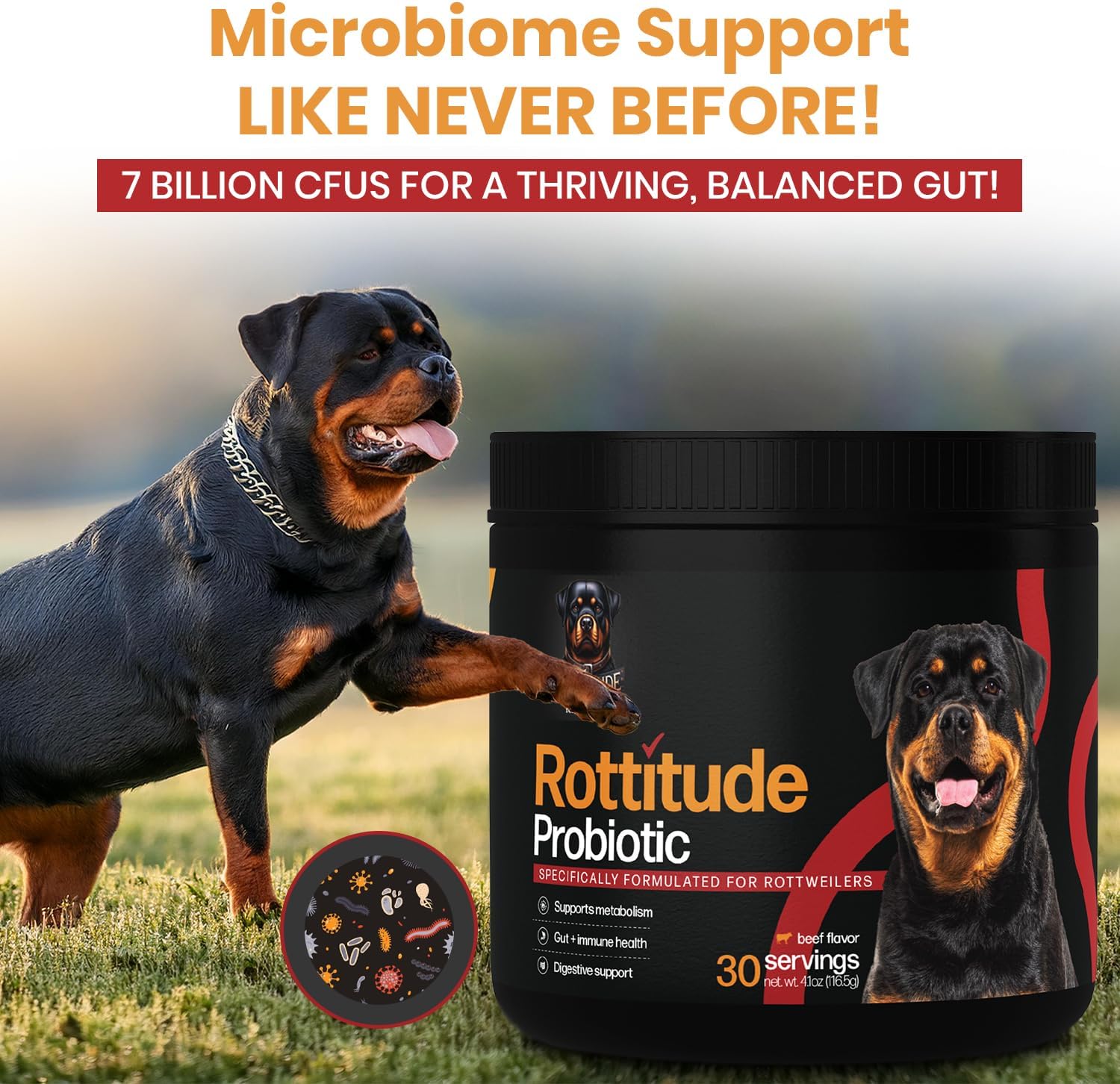 Probióticos para Perros – Suplemento Digestivo Natural para Rottweilers y Razas Grandes