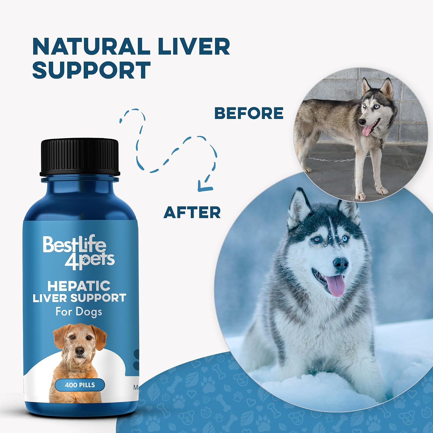 Complemento Hepático para Perros con Cardo Mariano – Fórmula de Detox Suave – 400 Comprimidos Inodoros