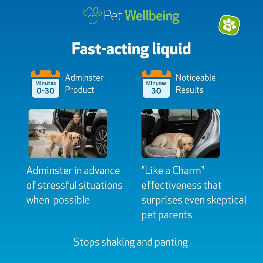 Pet Wellbeing Stress Gold para Perros - Fórmula Líquida Holística para el Estrés Situacional (60 ml)