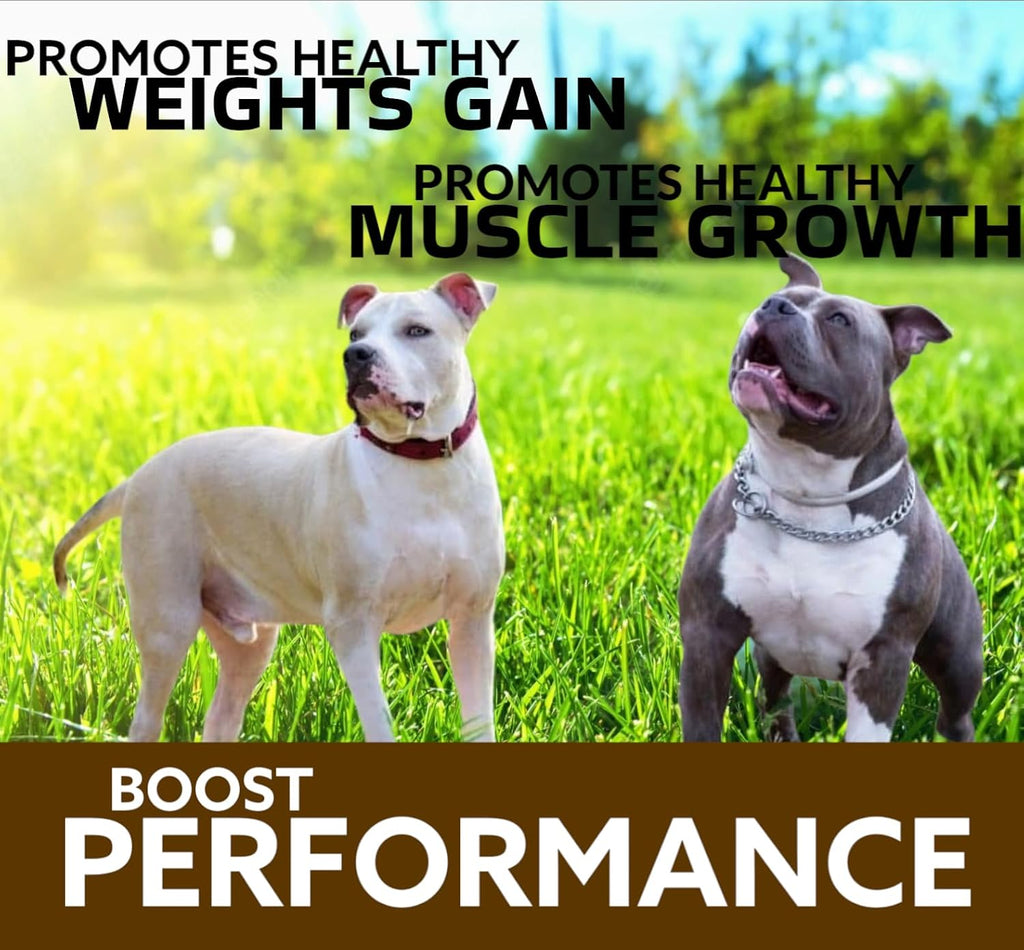 Predator Muscle Builder para Perros – Suplemento Canino para Masa Muscular – 60 comprimidos