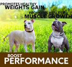 Predator Muscle Builder para Perros – Suplemento Canino para Masa Muscular – 60 comprimidos