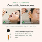 Tintura de Extracto de Baya Blushwood - 3 Botellas (150ml, 500mg por dosis) - Sin Alcohol, Vegano