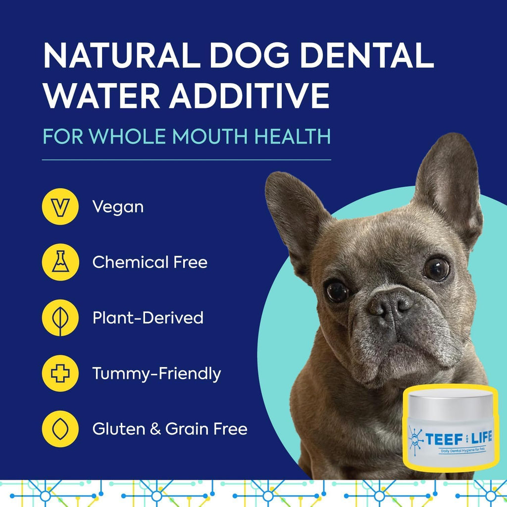 Protektin42 Recambio de Polvo Dental Prebiótico para Perros - 180 dosis (6 sobres)