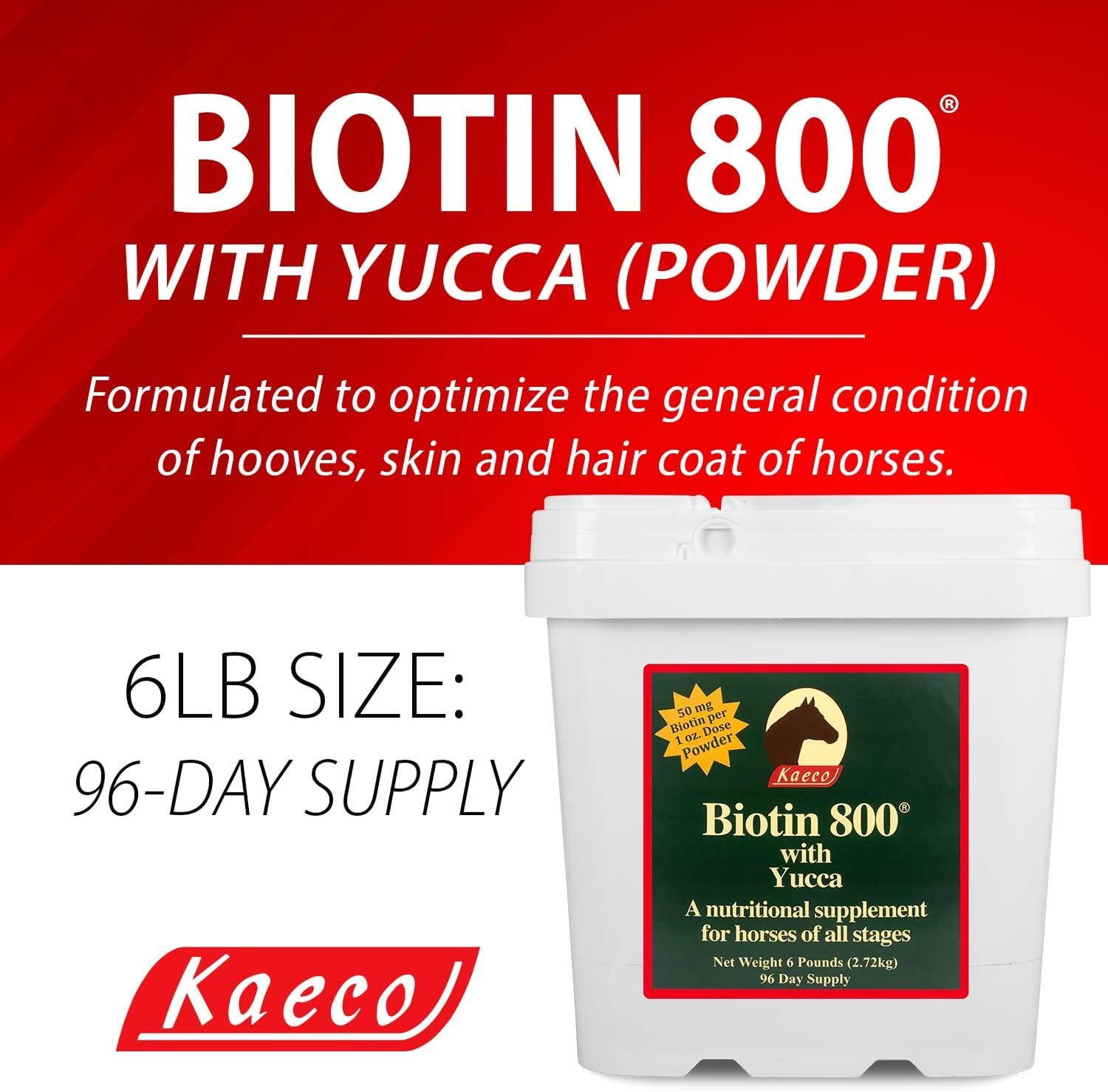 BIOTIN 800 en Polvo 2,7 kg