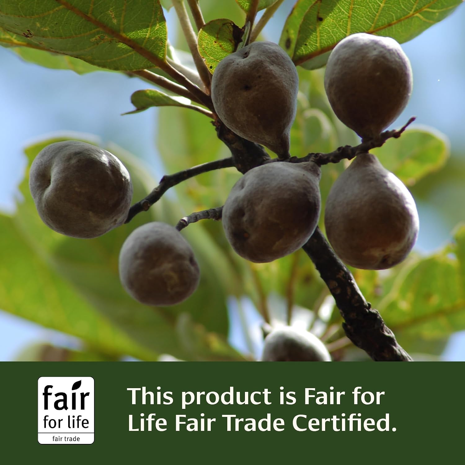 Banyan Botanicals Organic Healthy Kapha – Suplemento Herbal Caliente y Vigorizante – Apoya el Movimiento Sistémico, la Energía Física y la Circulación – 90 Comprimidos – USDA Orgánico