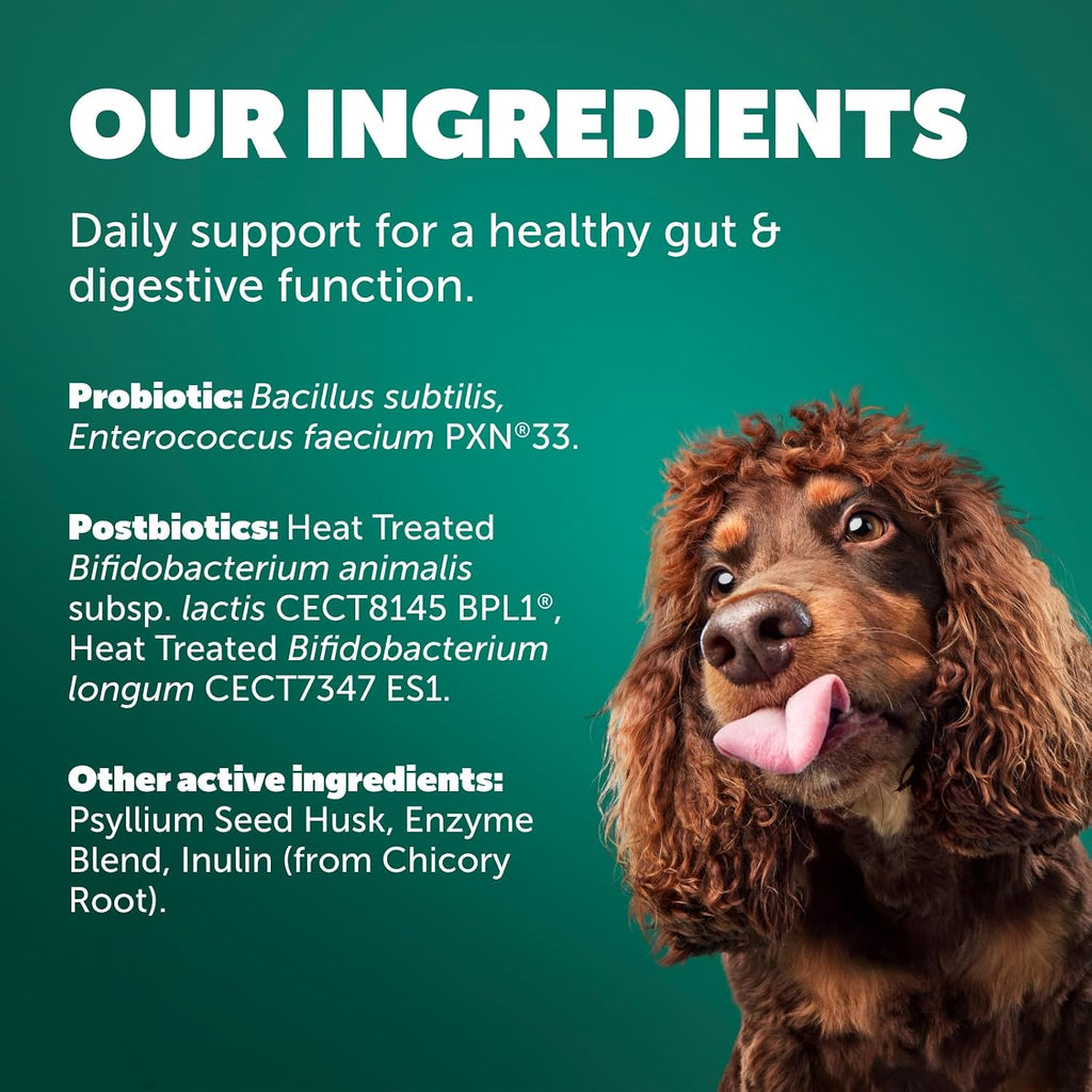 Protexin Daily Care Gut+ Digestive - 60 Masticables sabor pollo y algarroba