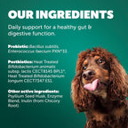 Protexin Daily Care Gut+ Digestive - 60 Masticables sabor pollo y algarroba