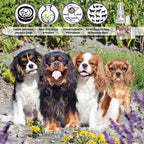 The Blissful Dog Spray de aromaterapia relajante para perros Cavalier King Charles Spaniel para la ansiedad de tu perro