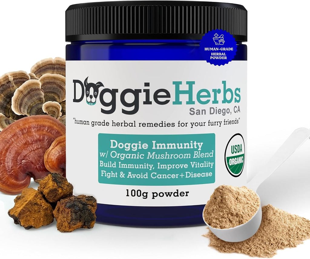 Doggie Herbs High Potency Immune Support – Fórmula de Cuidados Críticos con Setas Turkey Tail, Reishi y Hierbas TCM – Polvo Formulado por Doctor para Recuperación, Vitalidad y Salud Celular – 100g