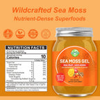 Gel de Musgo Marino (Sea Moss) Sabor Mango con Ashwagandha, 525g